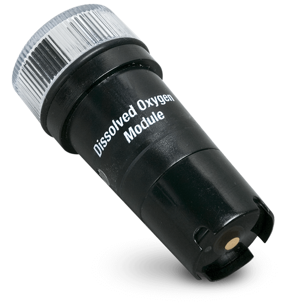 Extech DO605 ExStik® Replacement Dissolved Oxygen Module